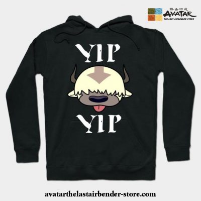 Yip Appa Avatar The Last Airbender Hoodie Black / S