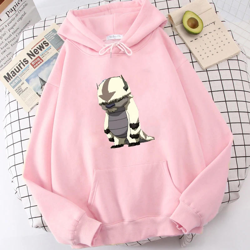 Avatar Hoodie The Last Airbender Anime Oversized Sweatshirt Appa Print Women Clothing Tracksuit Men Cartoon Long - Avatar The Last Airbender Store