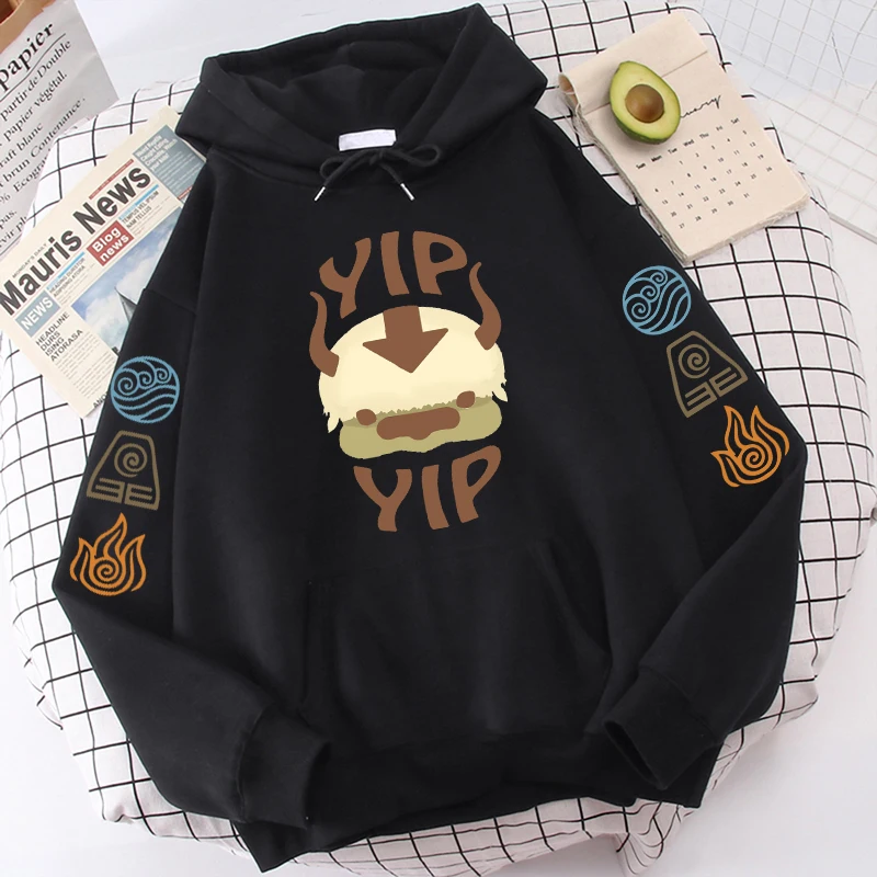 Avatar The Last Airbender Hoodie Men Women Appa YIP Letter Print Long Sleeve 2022 Spring Autumn - Avatar The Last Airbender Store